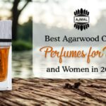 Best Agarwood Perfumes for Men and Women in 2026